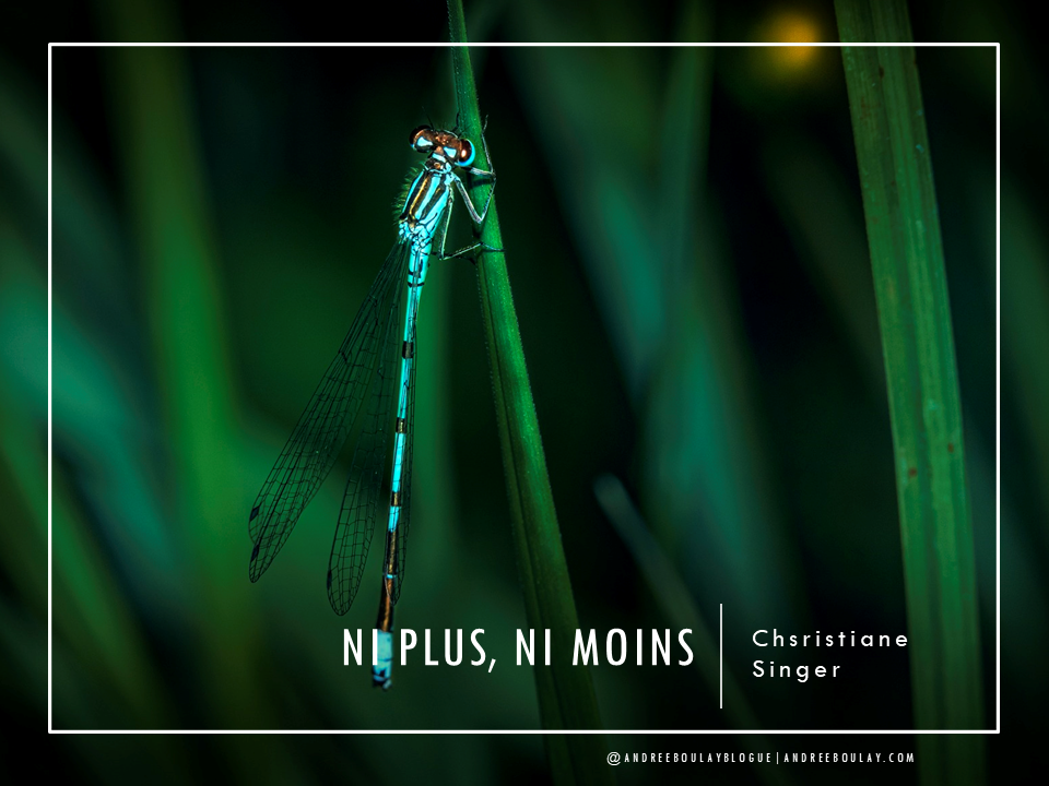 Christiane SINGER: Ni plus, ni moins. – Andree Boulay Blogue