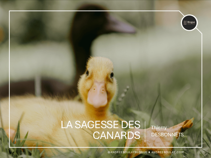 Thierry DESBONNETS | La sagesse des&nbsp;canards.