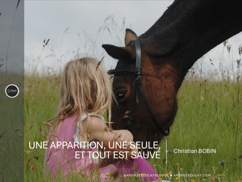 Christian BOBIN | Une apparition, une seule, et tout est&nbsp;sauvé.