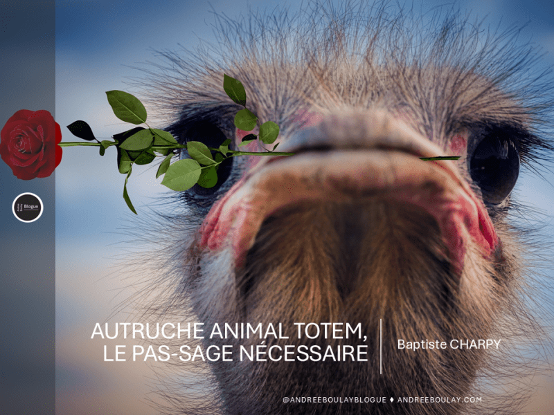 Baptiste CHARPY | Autruche Animal Totem, Le Pas-sage&nbsp;Nécessaire.