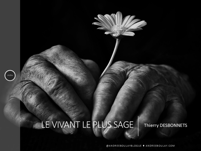 Thierry DESBONNETS | Le vivant le plus&nbsp;sage.