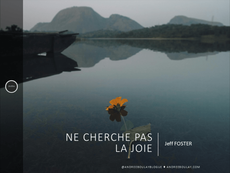 Jeff FOSTER | Ne cherche pas la&nbsp;joie.