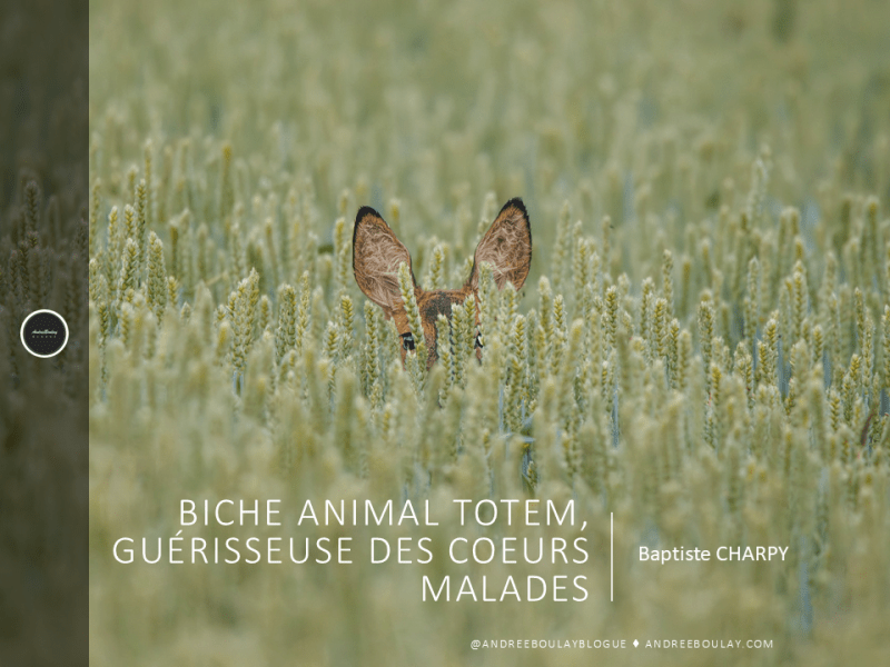 Baptiste CHARPY | Biche Animal Totem, Guérisseuse des Coeurs&nbsp;Malades.